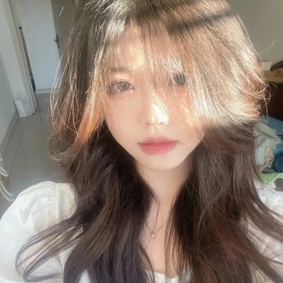 壳中少女 排气